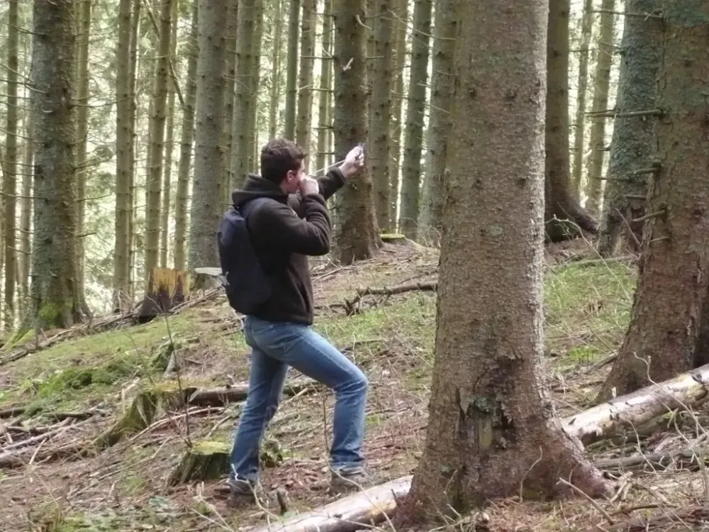 Coupe d'arbre à Villard-De-Lans