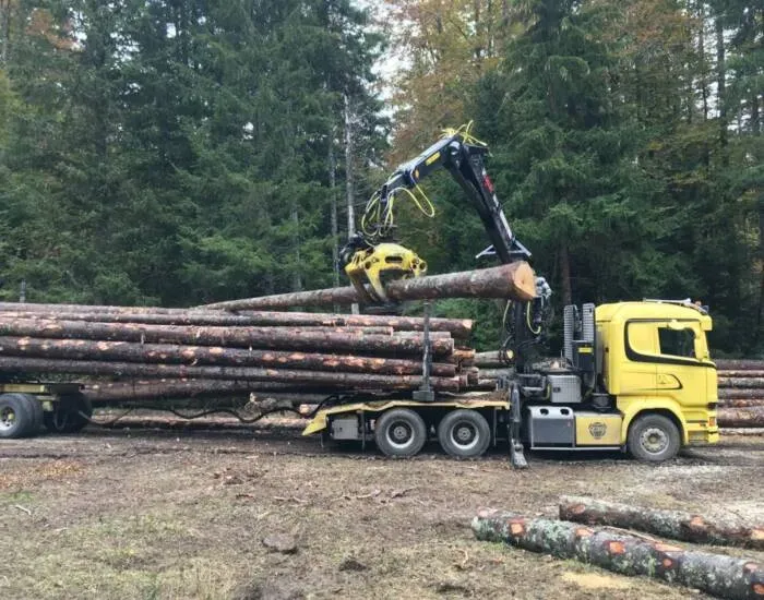 Gestion forestière à Villard-De-Lans
