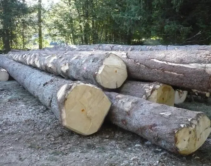 Bois de chauffage à Villard-De-Lans